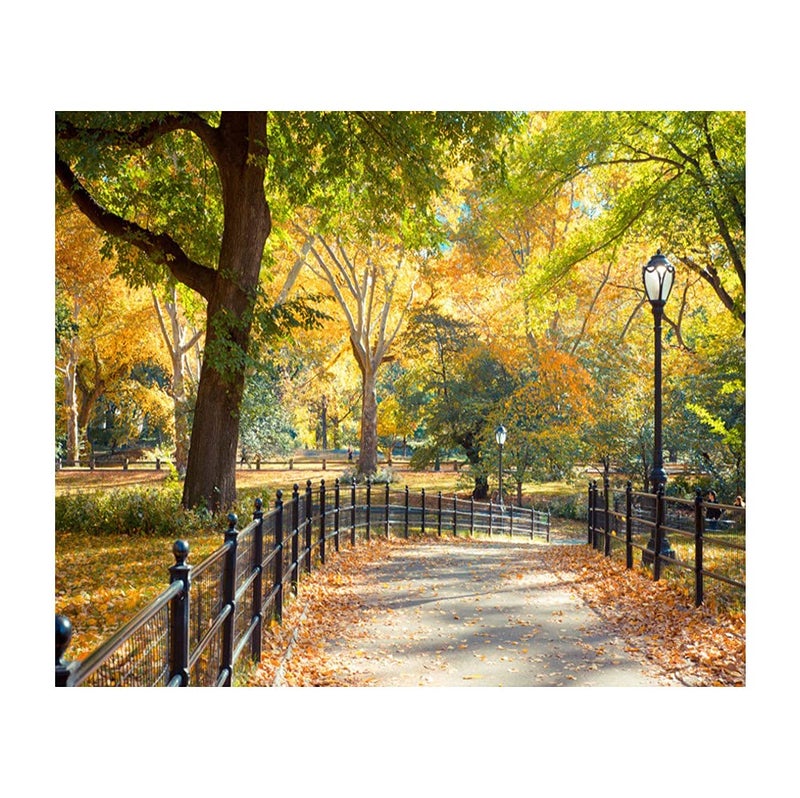 Laeacco New York City Central Park Photography Background 10x8ft Coloful Autumn Day Backdrops Landscape Road Lamp Fallen Leaves Trees Natural Backdrops Studio Photographic Props - Image 4